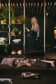 2023 Additions Doris Hkliving Lores 002.jpg