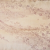 TKU2175 LR C 01.jpg