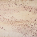 TKU2175 LR C 01.jpg