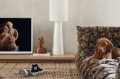 2223 Tv Furniture Hkliving LR 012.jpg