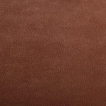 Magnolia LR 01.jpg