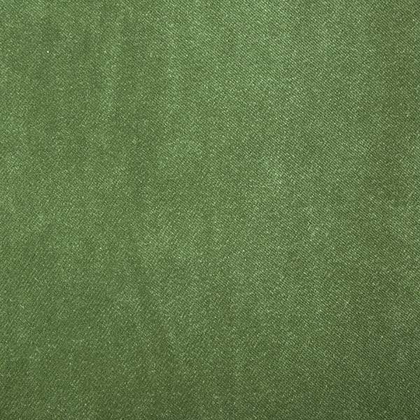 Groen LR 01.jpg