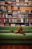 2122Additions Hkliving Shoot 2 LR 055.jpg