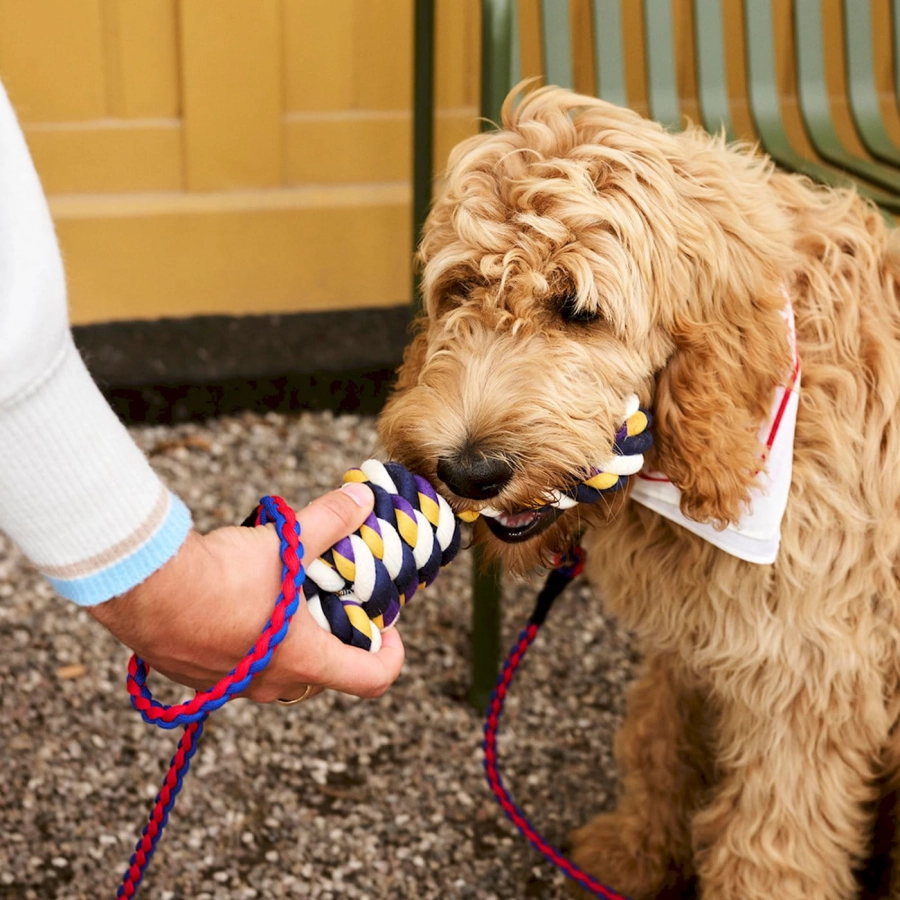 hay-dogs-rope-toy_imageslider_3.jpg