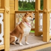 hay-dogs-scarf_imageslider_3.jpg