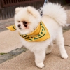 hay-dogs-scarf_imageslider_5.jpg