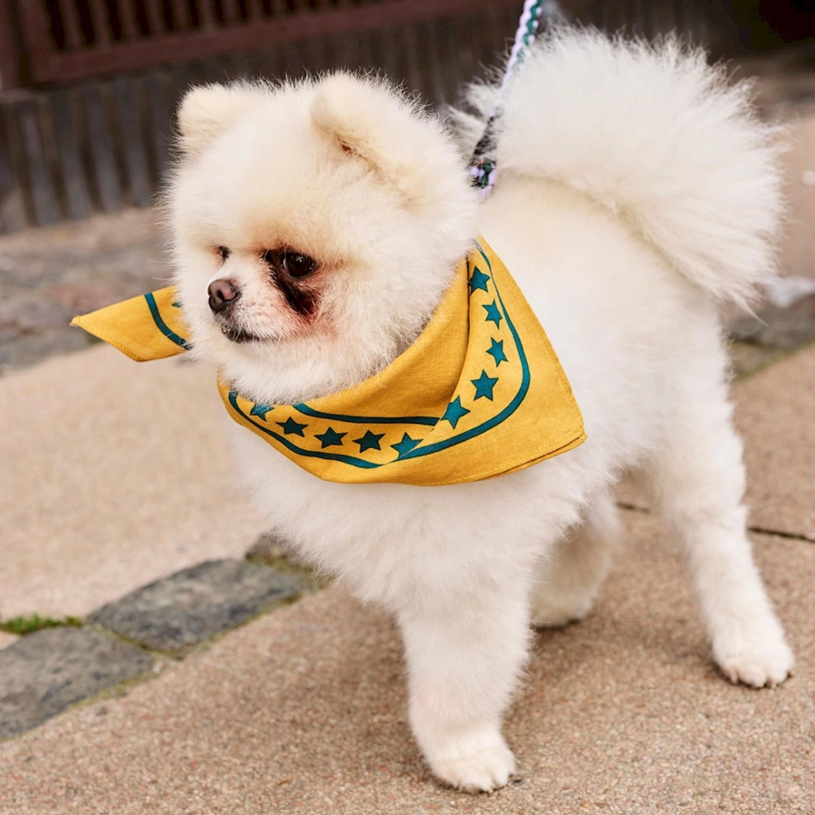 hay-dogs-scarf_imageslider_5.jpg