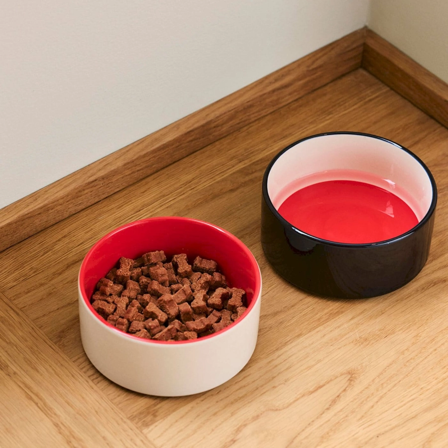 hay-dogs-bowl_imageslider_2.jpg