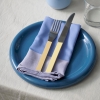 ram-napkin_imageslider_3.jpg