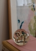 Sofie_Rebecca_Iversen_Little_Green_Close_Up_Low_Res.jpg