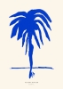 Malene_Birger_Natural_Shadow_No_01_Product_Low_Res-scaled.jpg
