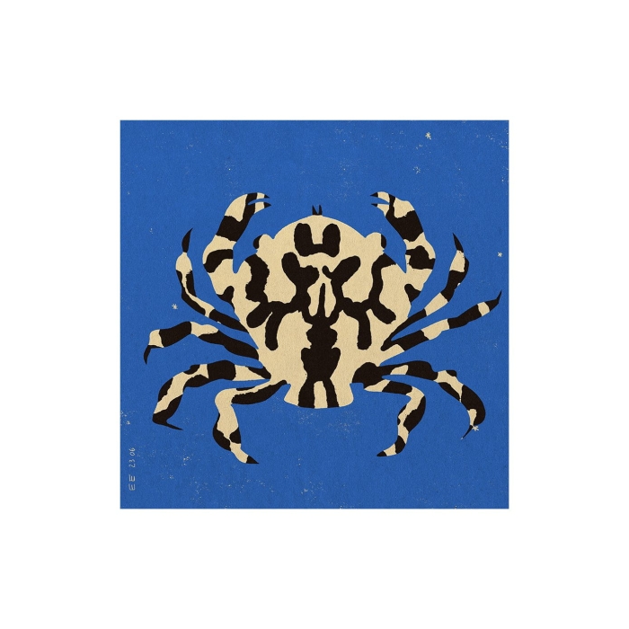 Eniko_Katalin_Eged_Calico_Crab_Product_Low_Res.jpg