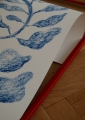 Linnea_Andersson_Fruits_Close_Up_Low_Res.jpg