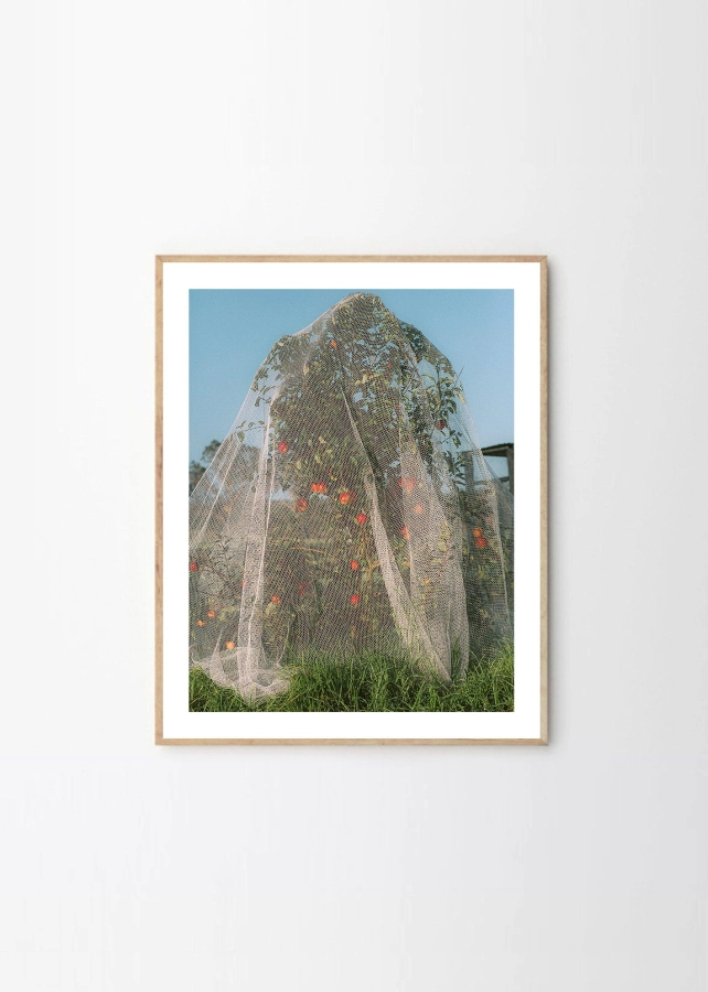 Lee_Burnett_Apple_Tree_Frame_Oak_Low_Res.jpg