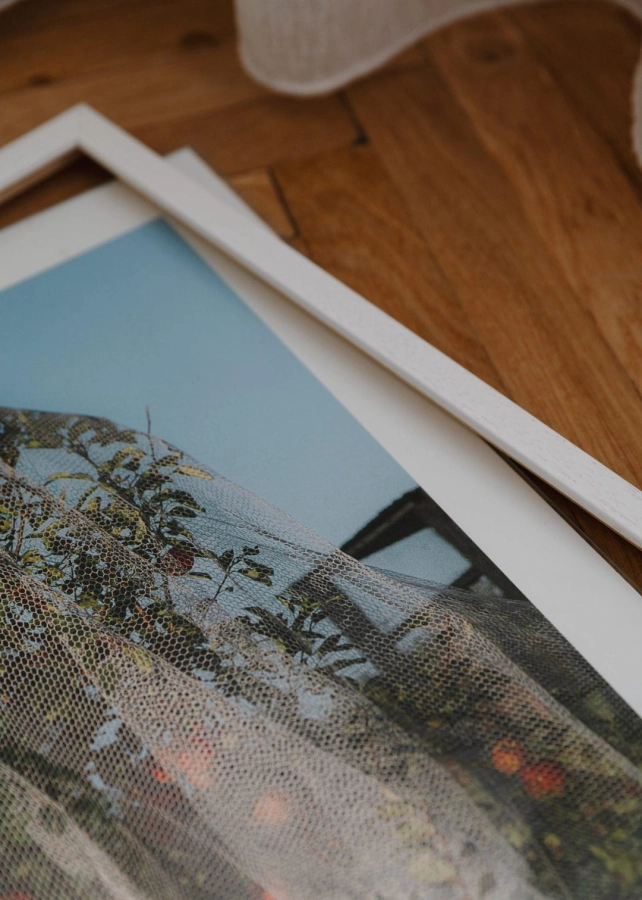 Lee_Burnett_Apple_Tree_Close_Up_Low_Res.jpg