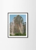Lee_Burnett_Apple_Tree_Frame_Black_Oak_Low_Res.jpg