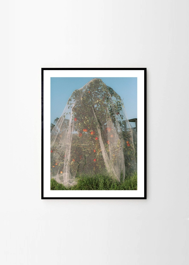 Lee_Burnett_Apple_Tree_Frame_Black_Oak_Low_Res.jpg