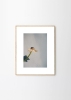 Priszcilla_Varga_Poppy_Pop_Frame_Oak_Low_Res.jpg