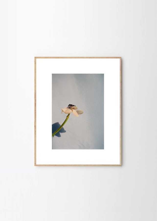 Priszcilla_Varga_Poppy_Pop_Frame_Oak_Low_Res.jpg