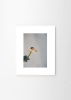 Priszcilla_Varga_Poppy_Pop_Frame_White_Oak_Low_Res.jpg