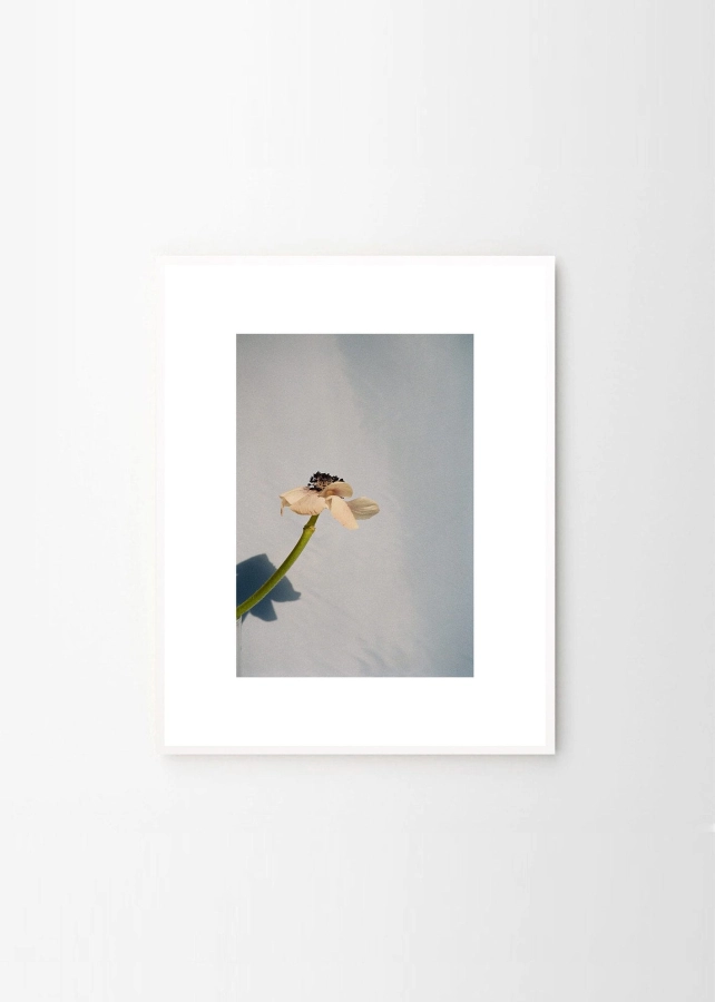 Priszcilla_Varga_Poppy_Pop_Frame_White_Oak_Low_Res.jpg