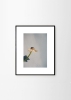 Priszcilla_Varga_Poppy_Pop_Frame_Black_Oak_Low_Res.jpg