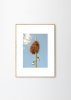 Julian_Zerressen_A_new_Home_Frame_Oak_Low_Res.jpg
