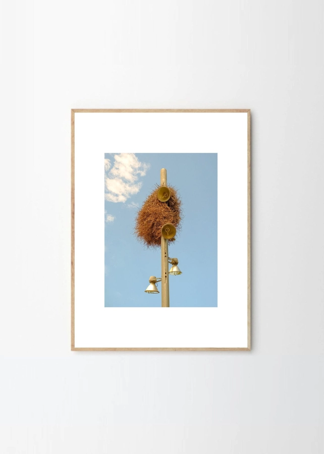 Julian_Zerressen_A_new_Home_Frame_Oak_Low_Res.jpg