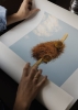 Julian_Zerressen_A_new_Home_Close_Up_Low_Res.jpg