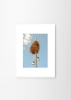 Julian_Zerressen_A_new_Home_Frame_White_Oak_Low_Res.jpg