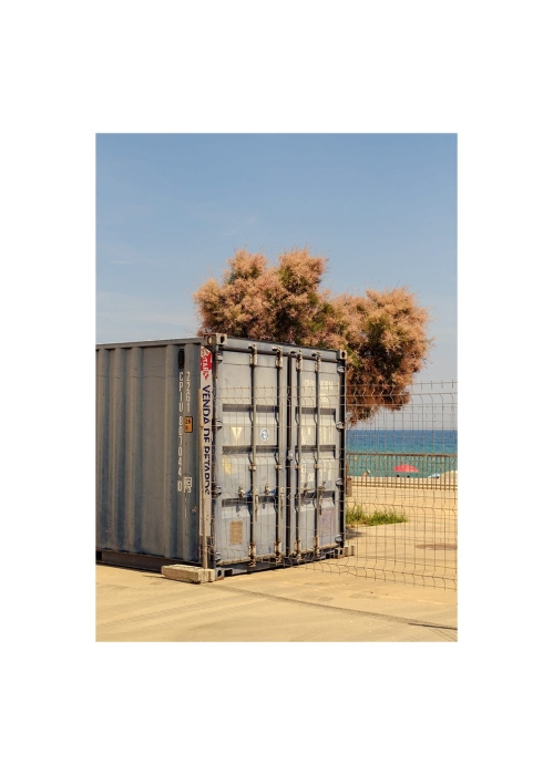 Julian_Zerressen_The_hidden_Tree_Product_Low_Res.jpg