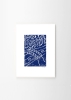 Felix_Pottinger_3_PM_Frame_White_Oak_Low_Res.jpg