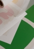 Noa_Noon_Hommage_Au_Vert_Close_Up_Low_Res.jpg