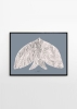 Matias_Larrain_Oiseau_Frame_Black_Oak_Low_Res.jpg