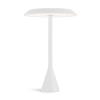 white led.jpg