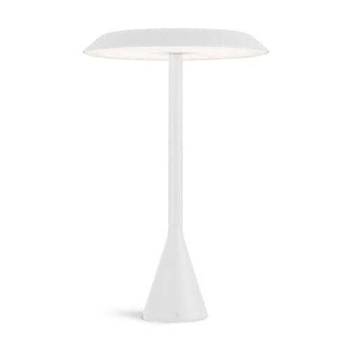 white led.jpg