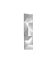 cover-303-1024x576-1.jpg
