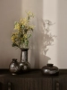 1104269044_10_68116dc0-3124-4433-af36-e70009b889c0_750x.webp