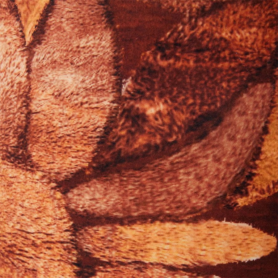VLK2043_LR_A_01.jpg