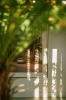 2224_Collection_HKliving_Shoot_1_LR_92.jpg