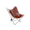 36_c859de9204-miniature-mariposa-oak.webp