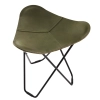 28_ff5e3de380-pampa-grass-green.webp