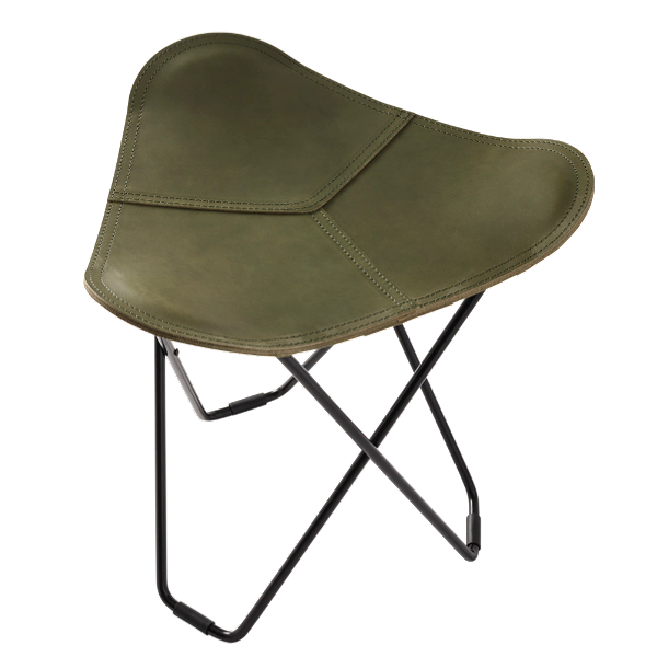 28_ff5e3de380-pampa-grass-green.webp
