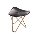 28_2a0e1e2b93-pampa_flying_goose_black_24kgold.webp