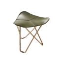 28_c4cd5116a0-pampa_flying_goose_green_24kgold.webp