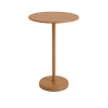 19457-en-linear-steel-cafe-table-round-o-70-h-105-burnt-orange-muuto-5000x5000-hi-res.tif.png