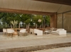 sepia 1.jpg