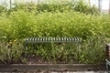 Palissade Bench Hot Galvanised 02.jpg