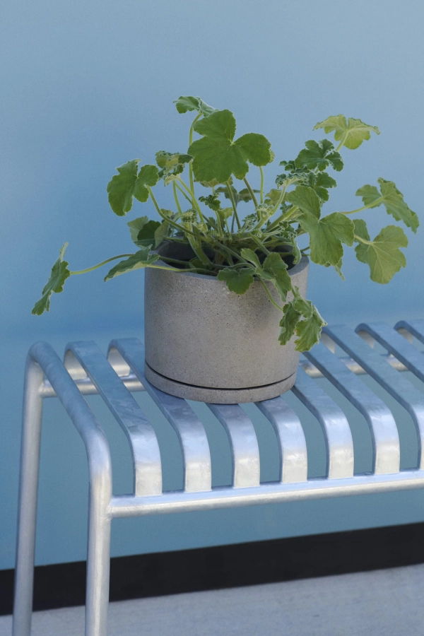 Plant Pot with Saucer L grey_Palissade Bench hot galvanized.jpg