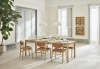 Ronya-Apelle-Case-Aluna-Forma-Arcs-Rheolog-Fluent-Soft Collection-Torch.jpg